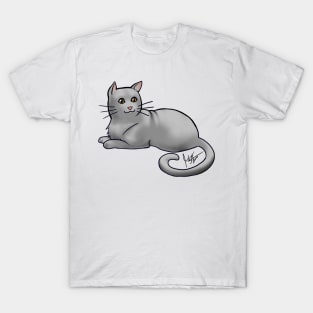 Cat - American Shorthair - Gray T-Shirt